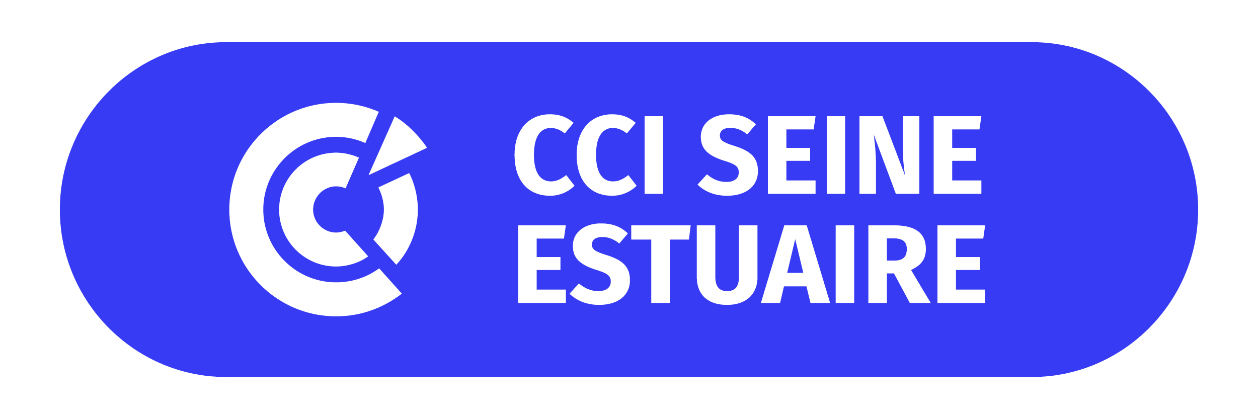 logo_cci_seine_estuaire_web.jpg